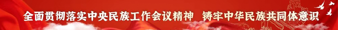 全面贯彻落实中央民族工作会议